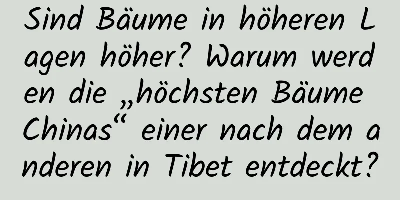 Sind Bäume in höheren Lagen höher? Warum werden die „höchsten Bäume Chinas“ einer nach dem anderen in Tibet entdeckt?