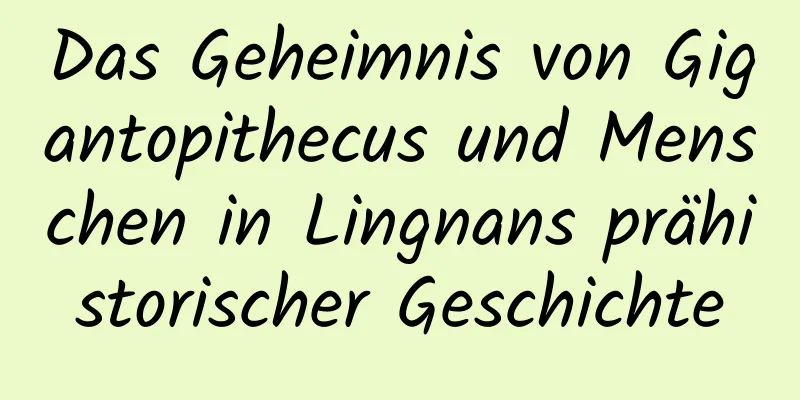 Das Geheimnis von Gigantopithecus und Menschen in Lingnans prähistorischer Geschichte