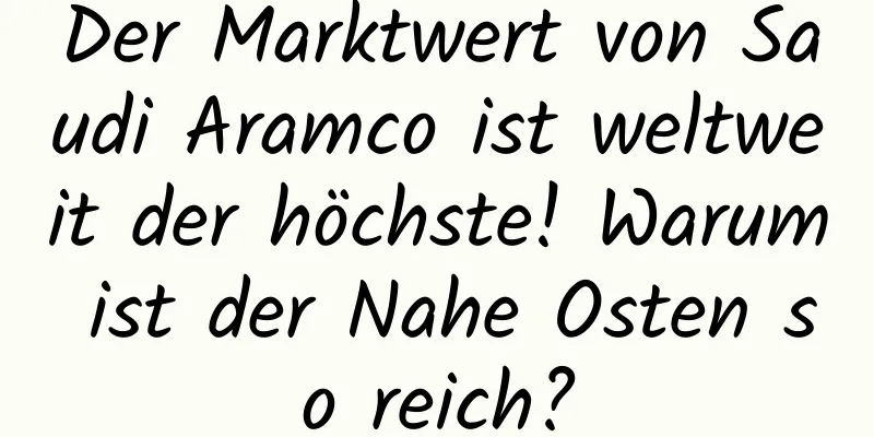 Der Marktwert von Saudi Aramco ist weltweit der höchste! Warum ist der Nahe Osten so reich?