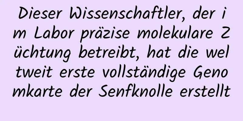 Dieser Wissenschaftler, der im Labor präzise molekulare Züchtung betreibt, hat die weltweit erste vollständige Genomkarte der Senfknolle erstellt
