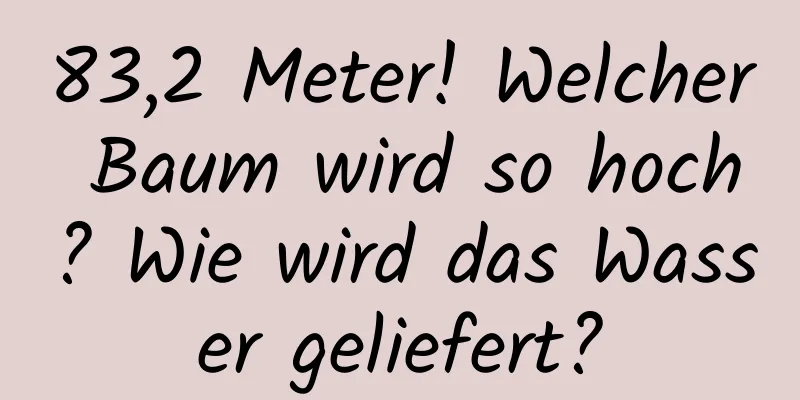 83,2 Meter! Welcher Baum wird so hoch? Wie wird das Wasser geliefert?