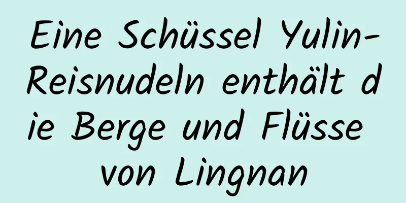 Eine Schüssel Yulin-Reisnudeln enthält die Berge und Flüsse von Lingnan