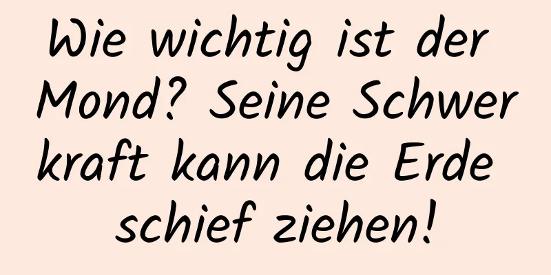 Wie wichtig ist der Mond? Seine Schwerkraft kann die Erde schief ziehen!