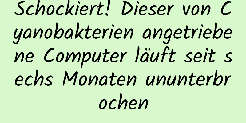 Schockiert! Dieser von Cyanobakterien angetriebene Computer läuft seit sechs Monaten ununterbrochen