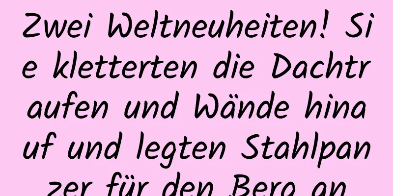 Zwei Weltneuheiten! Sie kletterten die Dachtraufen und Wände hinauf und legten Stahlpanzer für den Berg an