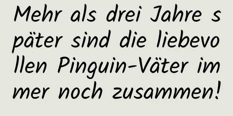 Mehr als drei Jahre später sind die liebevollen Pinguin-Väter immer noch zusammen!