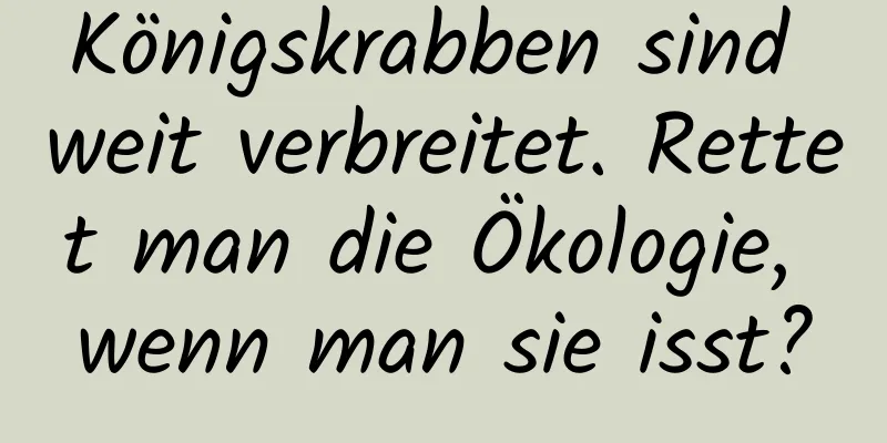 Königskrabben sind weit verbreitet. Rettet man die Ökologie, wenn man sie isst?