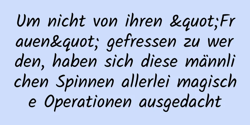 Um nicht von ihren "Frauen" gefressen zu werden, haben sich diese männlichen Spinnen allerlei magische Operationen ausgedacht
