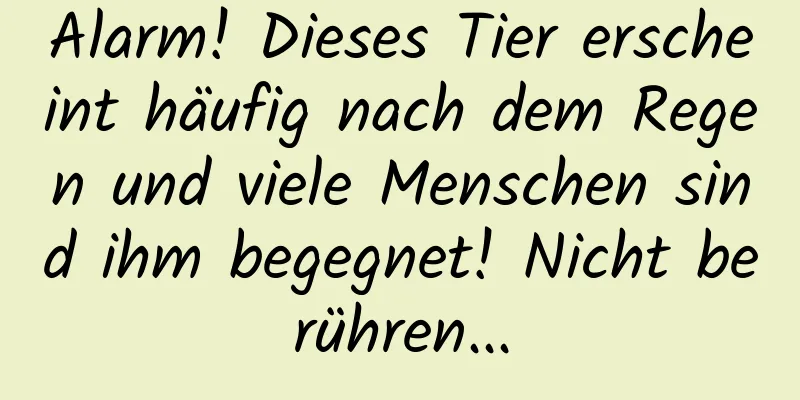 Alarm! Dieses Tier erscheint häufig nach dem Regen und viele Menschen sind ihm begegnet! Nicht berühren...