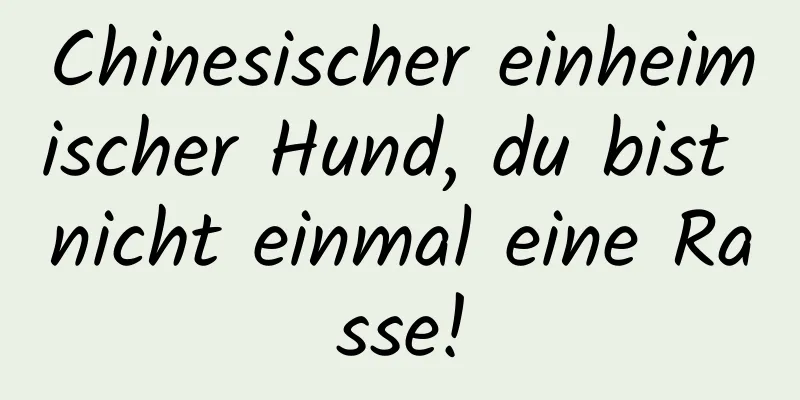 Chinesischer einheimischer Hund, du bist nicht einmal eine Rasse!