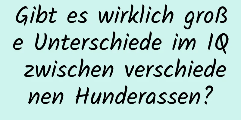 Gibt es wirklich große Unterschiede im IQ zwischen verschiedenen Hunderassen?