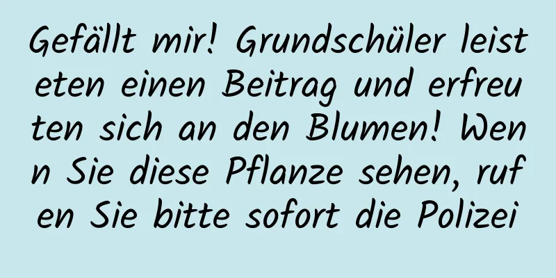 Gefällt mir! Grundschüler leisteten einen Beitrag und erfreuten sich an den Blumen! Wenn Sie diese Pflanze sehen, rufen Sie bitte sofort die Polizei