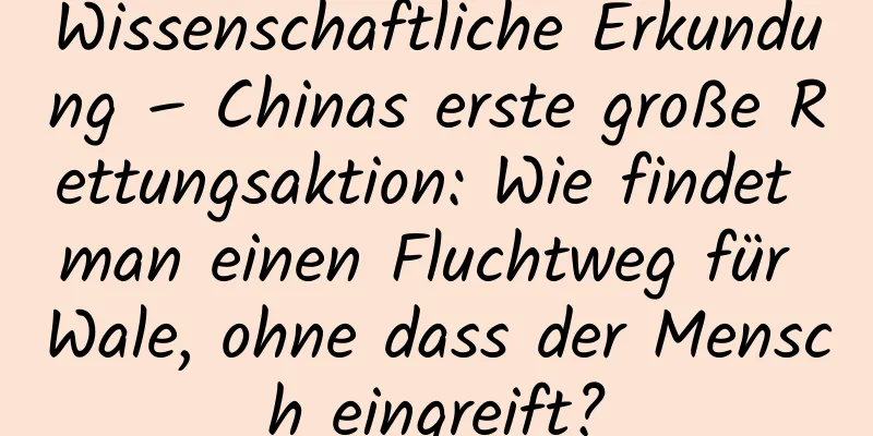 Wissenschaftliche Erkundung – Chinas erste große Rettungsaktion: Wie findet man einen Fluchtweg für Wale, ohne dass der Mensch eingreift?