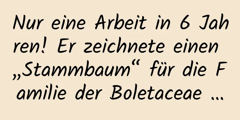 Nur eine Arbeit in 6 Jahren! Er zeichnete einen „Stammbaum“ für die Familie der Boletaceae …