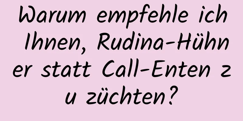 Warum empfehle ich Ihnen, Rudina-Hühner statt Call-Enten zu züchten?