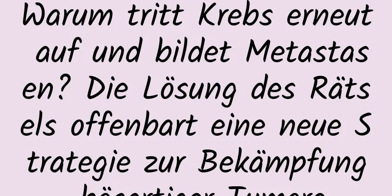 Warum tritt Krebs erneut auf und bildet Metastasen? Die Lösung des Rätsels offenbart eine neue Strategie zur Bekämpfung bösartiger Tumore