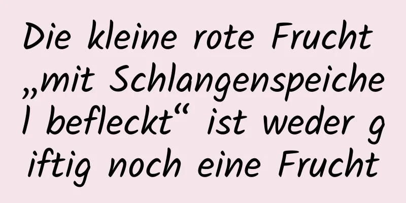 Die kleine rote Frucht „mit Schlangenspeichel befleckt“ ist weder giftig noch eine Frucht