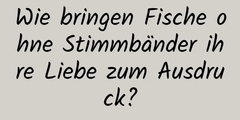Wie bringen Fische ohne Stimmbänder ihre Liebe zum Ausdruck?
