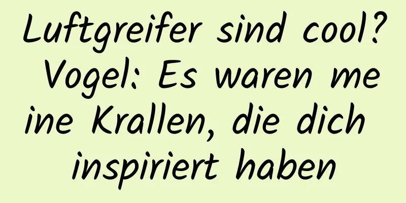 Luftgreifer sind cool? Vogel: Es waren meine Krallen, die dich inspiriert haben