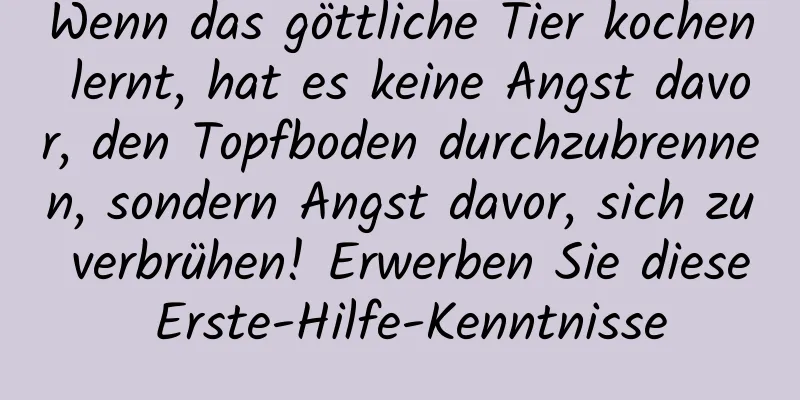 Wenn das göttliche Tier kochen lernt, hat es keine Angst davor, den Topfboden durchzubrennen, sondern Angst davor, sich zu verbrühen! Erwerben Sie diese Erste-Hilfe-Kenntnisse