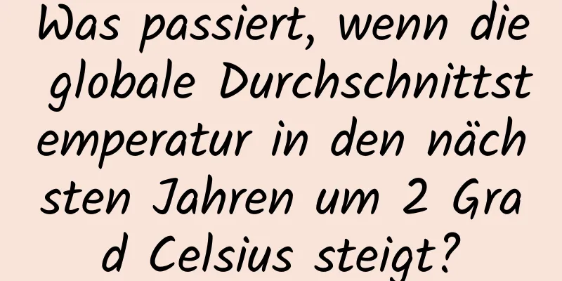 Was passiert, wenn die globale Durchschnittstemperatur in den nächsten Jahren um 2 Grad Celsius steigt?