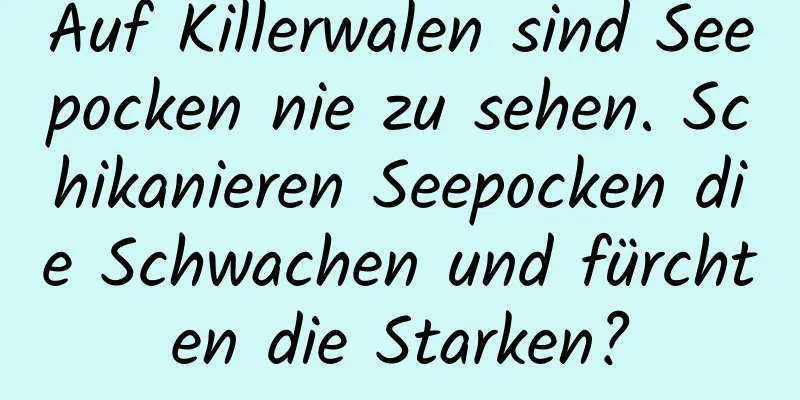 Auf Killerwalen sind Seepocken nie zu sehen. Schikanieren Seepocken die Schwachen und fürchten die Starken?