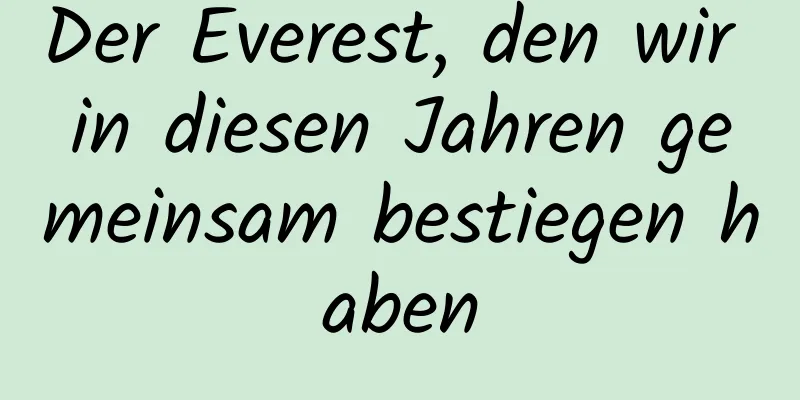 Der Everest, den wir in diesen Jahren gemeinsam bestiegen haben