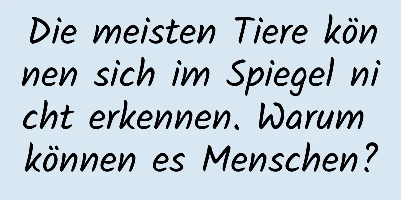 Die meisten Tiere können sich im Spiegel nicht erkennen. Warum können es Menschen?