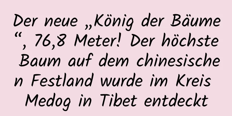 Der neue „König der Bäume“, 76,8 Meter! Der höchste Baum auf dem chinesischen Festland wurde im Kreis Medog in Tibet entdeckt