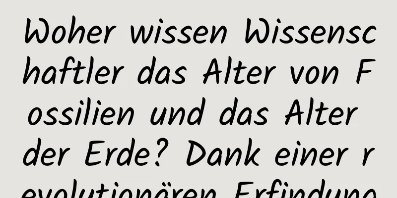 Woher wissen Wissenschaftler das Alter von Fossilien und das Alter der Erde? Dank einer revolutionären Erfindung