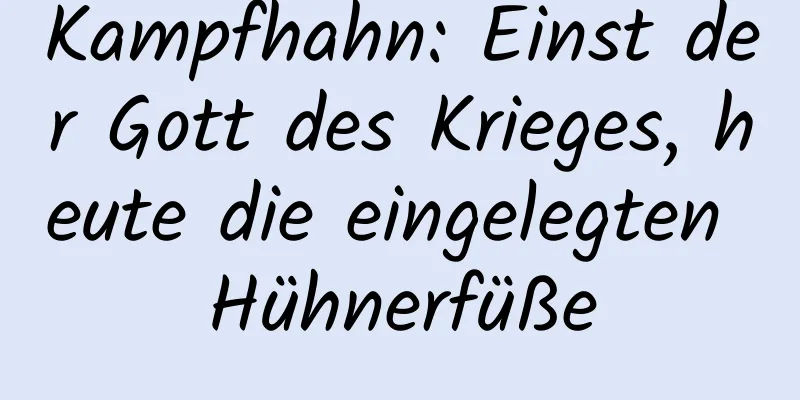 Kampfhahn: Einst der Gott des Krieges, heute die eingelegten Hühnerfüße
