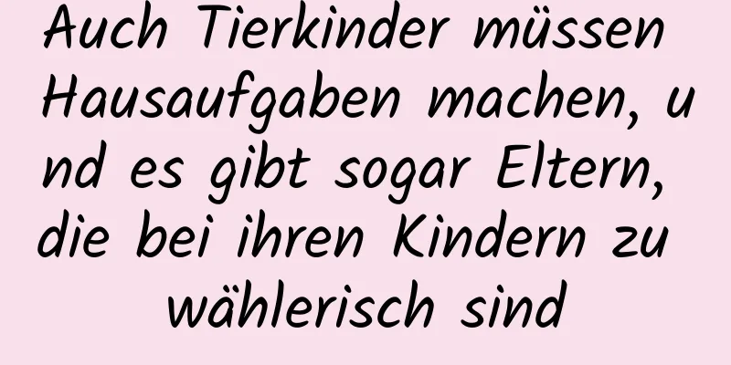 Auch Tierkinder müssen Hausaufgaben machen, und es gibt sogar Eltern, die bei ihren Kindern zu wählerisch sind