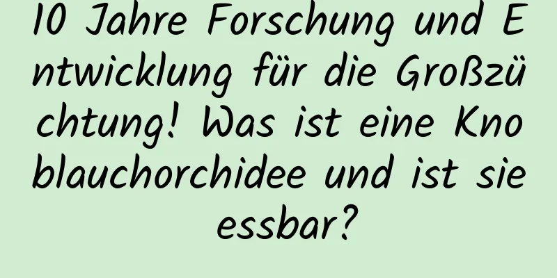 10 Jahre Forschung und Entwicklung für die Großzüchtung! Was ist eine Knoblauchorchidee und ist sie essbar?