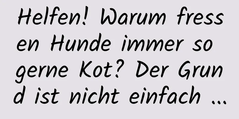 Helfen! Warum fressen Hunde immer so gerne Kot? Der Grund ist nicht einfach ...