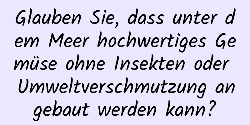 Glauben Sie, dass unter dem Meer hochwertiges Gemüse ohne Insekten oder Umweltverschmutzung angebaut werden kann?