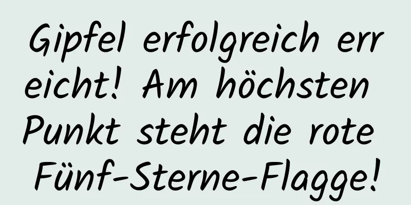 Gipfel erfolgreich erreicht! Am höchsten Punkt steht die rote Fünf-Sterne-Flagge!
