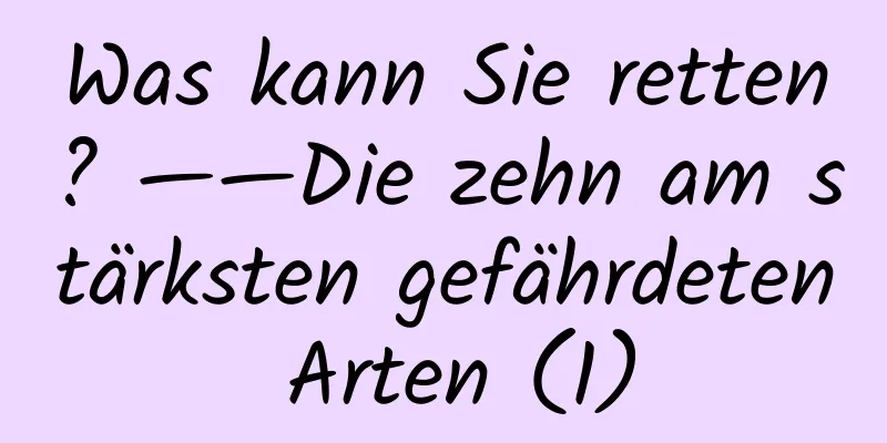 Was kann Sie retten? ——Die zehn am stärksten gefährdeten Arten (1)