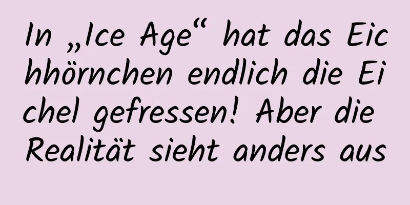 In „Ice Age“ hat das Eichhörnchen endlich die Eichel gefressen! Aber die Realität sieht anders aus