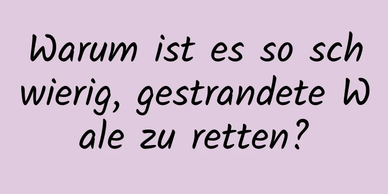 Warum ist es so schwierig, gestrandete Wale zu retten?
