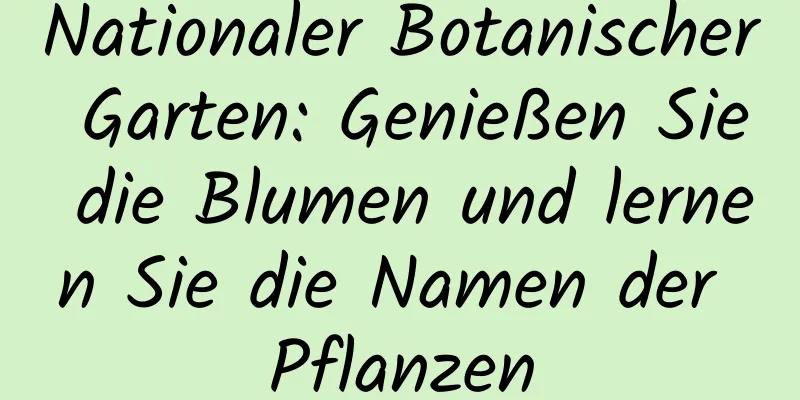 Nationaler Botanischer Garten: Genießen Sie die Blumen und lernen Sie die Namen der Pflanzen