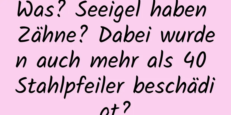 Was? Seeigel haben Zähne? Dabei wurden auch mehr als 40 Stahlpfeiler beschädigt?