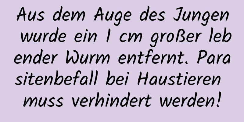 Aus dem Auge des Jungen wurde ein 1 cm großer lebender Wurm entfernt. Parasitenbefall bei Haustieren muss verhindert werden!