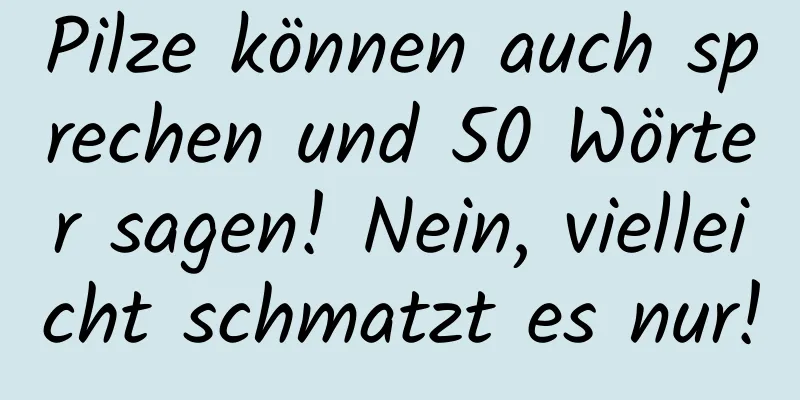 Pilze können auch sprechen und 50 Wörter sagen! Nein, vielleicht schmatzt es nur!