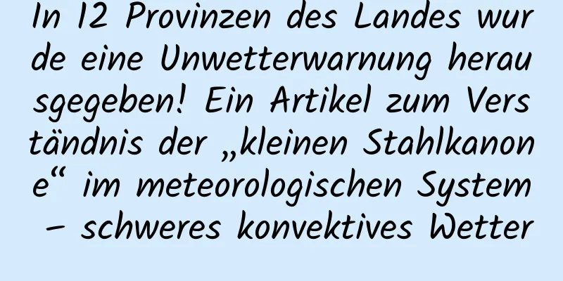 In 12 Provinzen des Landes wurde eine Unwetterwarnung herausgegeben! Ein Artikel zum Verständnis der „kleinen Stahlkanone“ im meteorologischen System – schweres konvektives Wetter