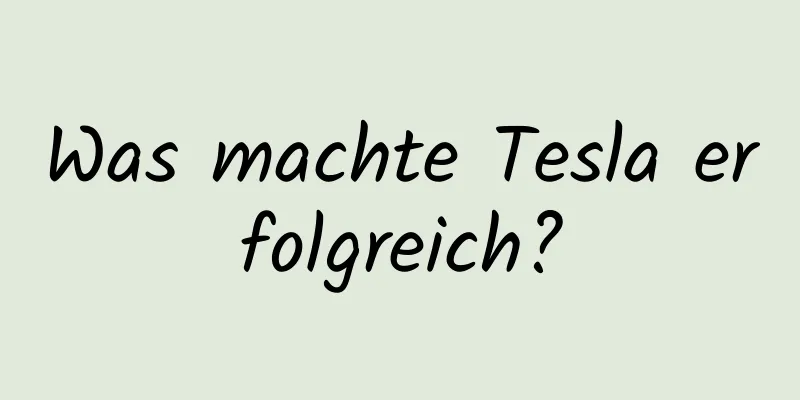 Was machte Tesla erfolgreich?