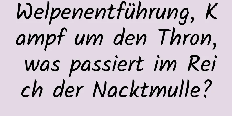 Welpenentführung, Kampf um den Thron, was passiert im Reich der Nacktmulle?