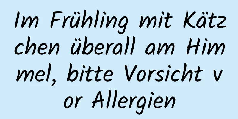 Im Frühling mit Kätzchen überall am Himmel, bitte Vorsicht vor Allergien