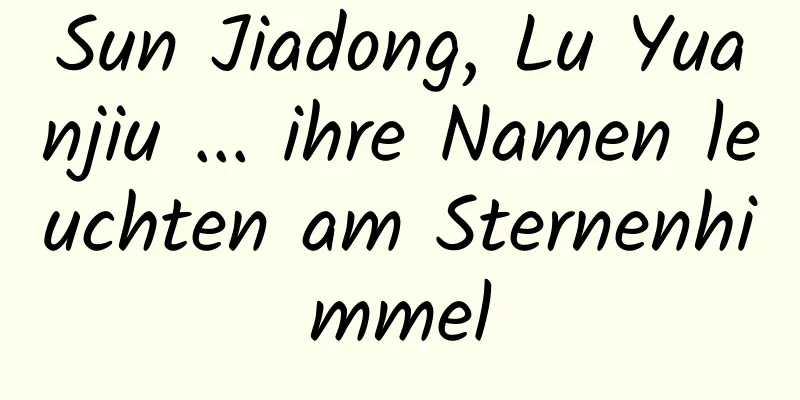 Sun Jiadong, Lu Yuanjiu ... ihre Namen leuchten am Sternenhimmel