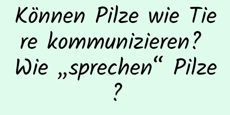 Können Pilze wie Tiere kommunizieren? Wie „sprechen“ Pilze?