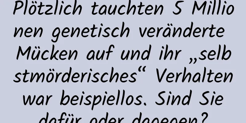 Plötzlich tauchten 5 Millionen genetisch veränderte Mücken auf und ihr „selbstmörderisches“ Verhalten war beispiellos. Sind Sie dafür oder dagegen?